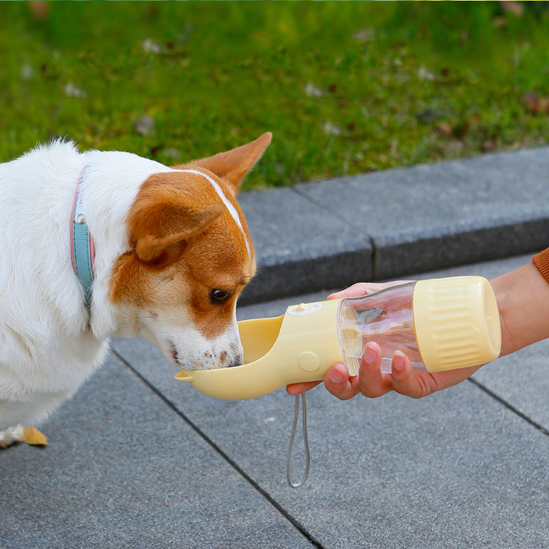 Un chien boit avec la gourde PAWVIA