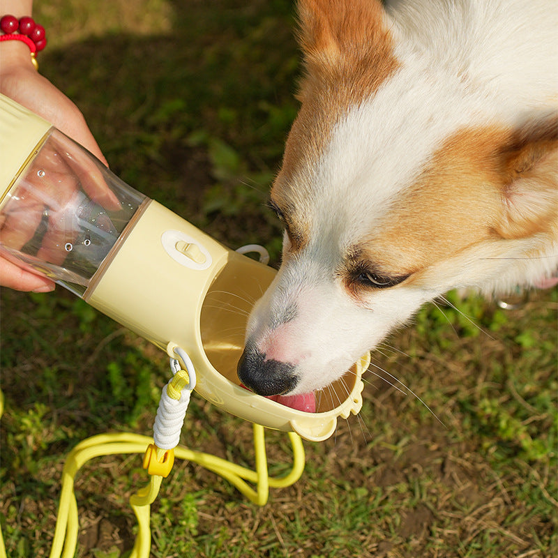Hydratez votre chien en promenade